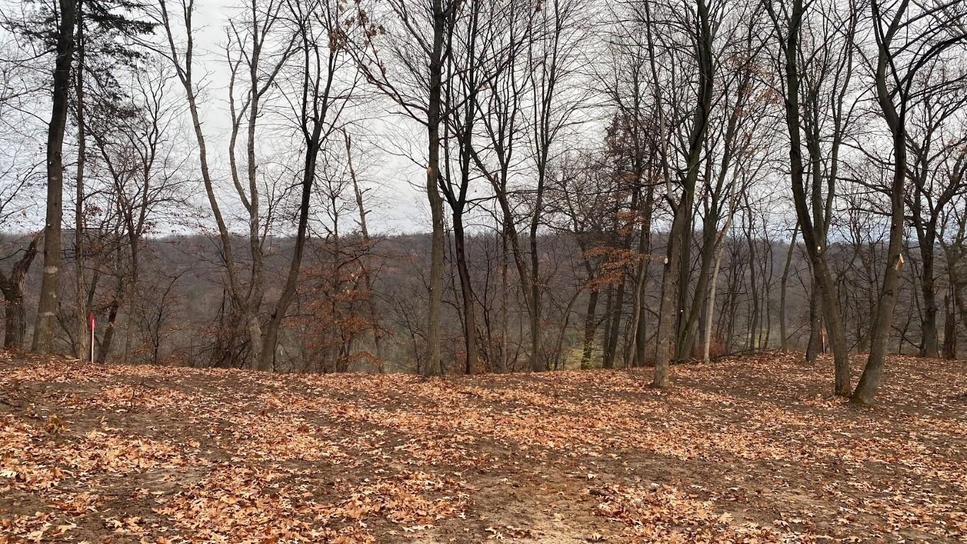 L22 Hillside Wisconsin Dells, WI 53965 - Photo 17 of 28