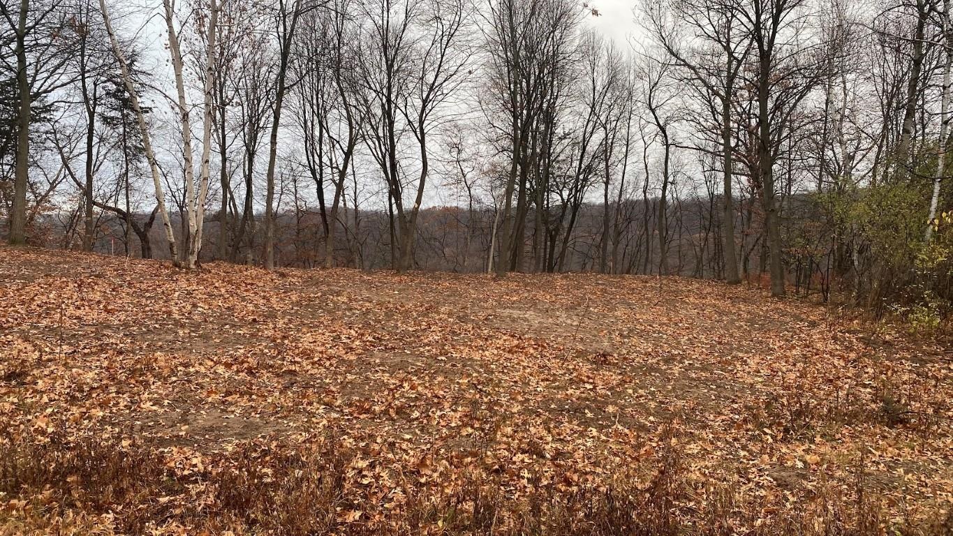 L22 Hillside Wisconsin Dells, WI 53965 - Photo 6 of 28