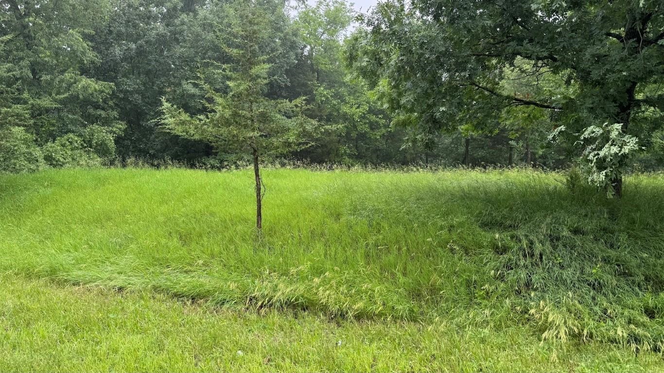 L22 Hillside Wisconsin Dells, WI 53965 - Photo 7 of 28