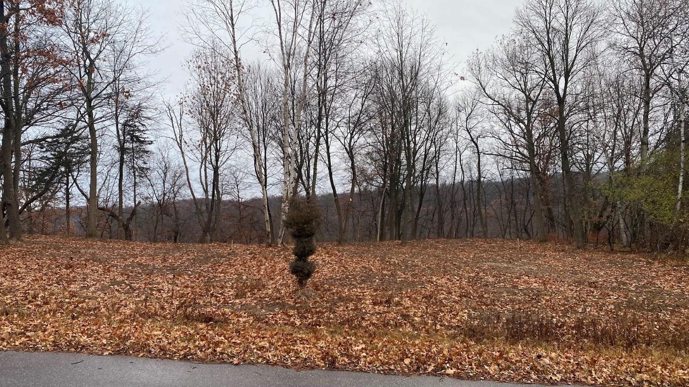 L22 Hillside Wisconsin Dells, WI 53965 - Photo 8 of 28