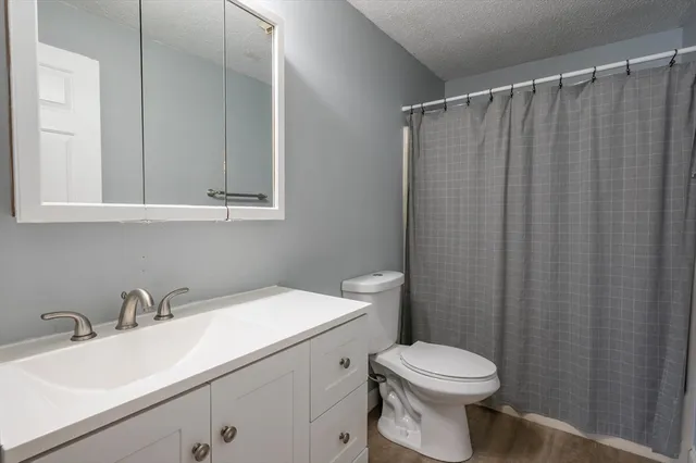 a bathroom with a sink a toilet and shower