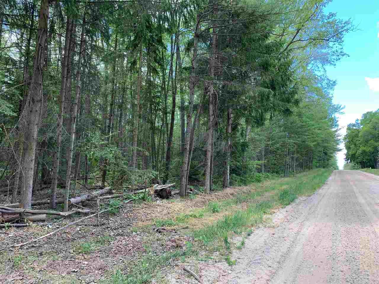 Xxx East Pere Cheney Road Roscommon, MI 48653 - Photo 29 of 30 Gallery Image 29