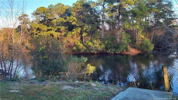 a view of a lake in middle of forest