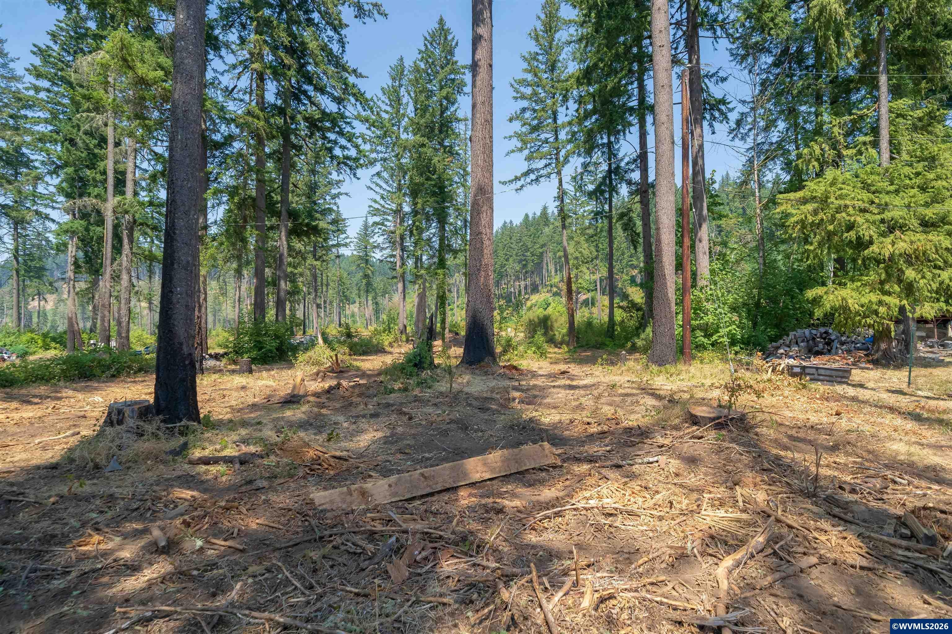Lot 1101 Santiam Park Road Lyons, OR 97358 - Photo 14 of 18 Gallery Image 14