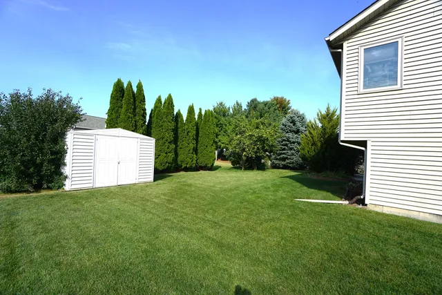 a view of a yard with plants and trees