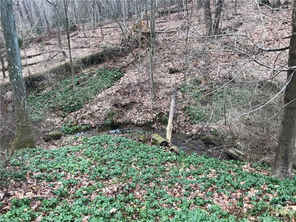 2676 Sunset Lane Allison Park, PA 15101 - Photo 24 of 25 Yard extends to the woods with a running creek and abundant wildlife!