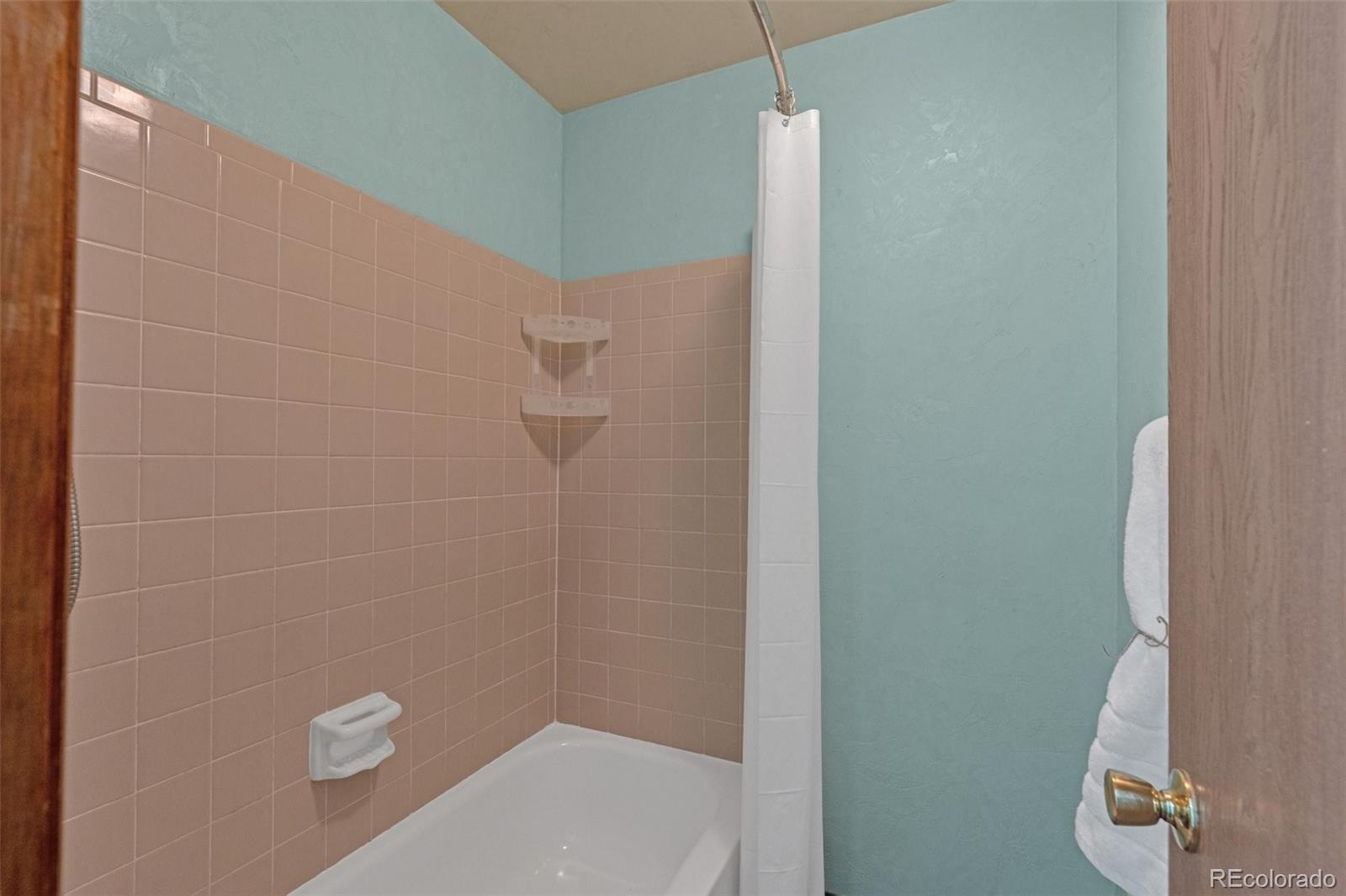 4320 Genoa Street Denver, CO 80249 - Photo 23 of 48 a bathroom with a shower