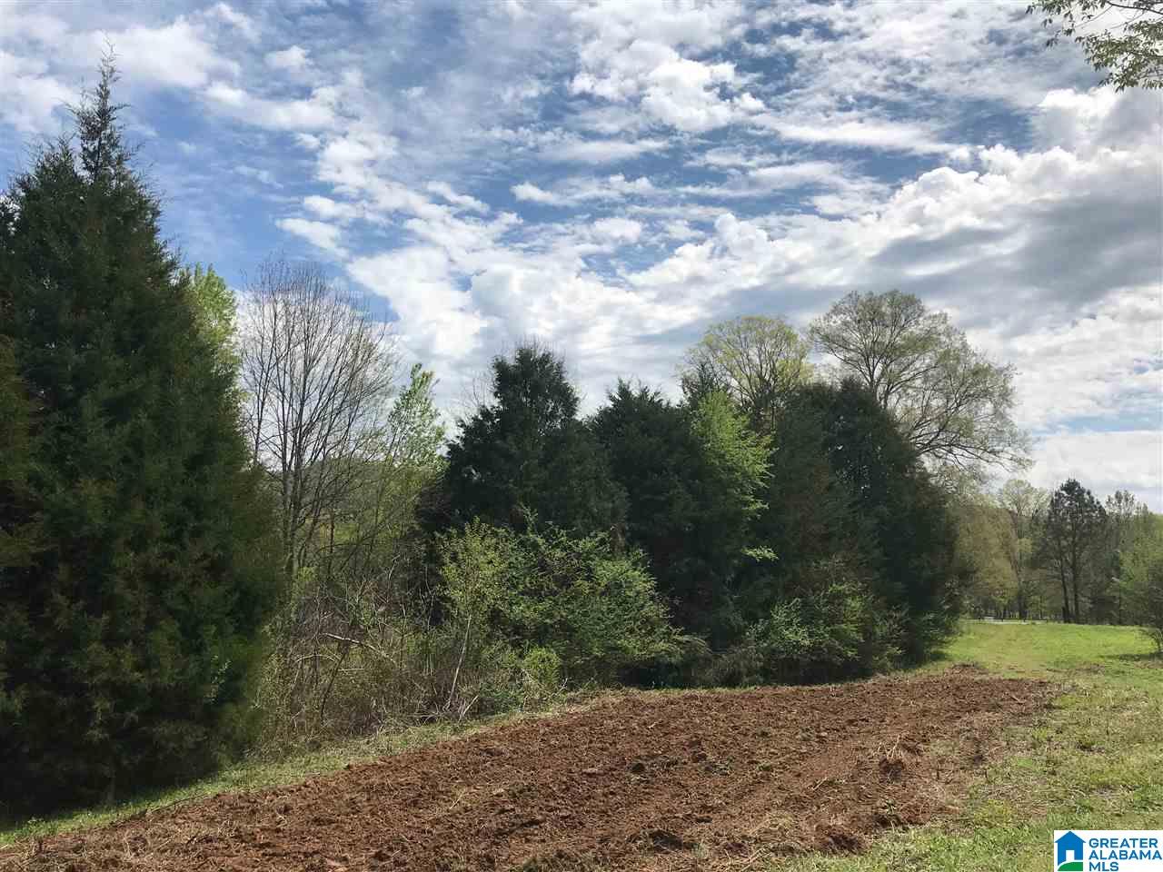 0 Duck Springs Road, Unit 2 PARCELS Attalla, AL 35954 - Photo 15 of 24