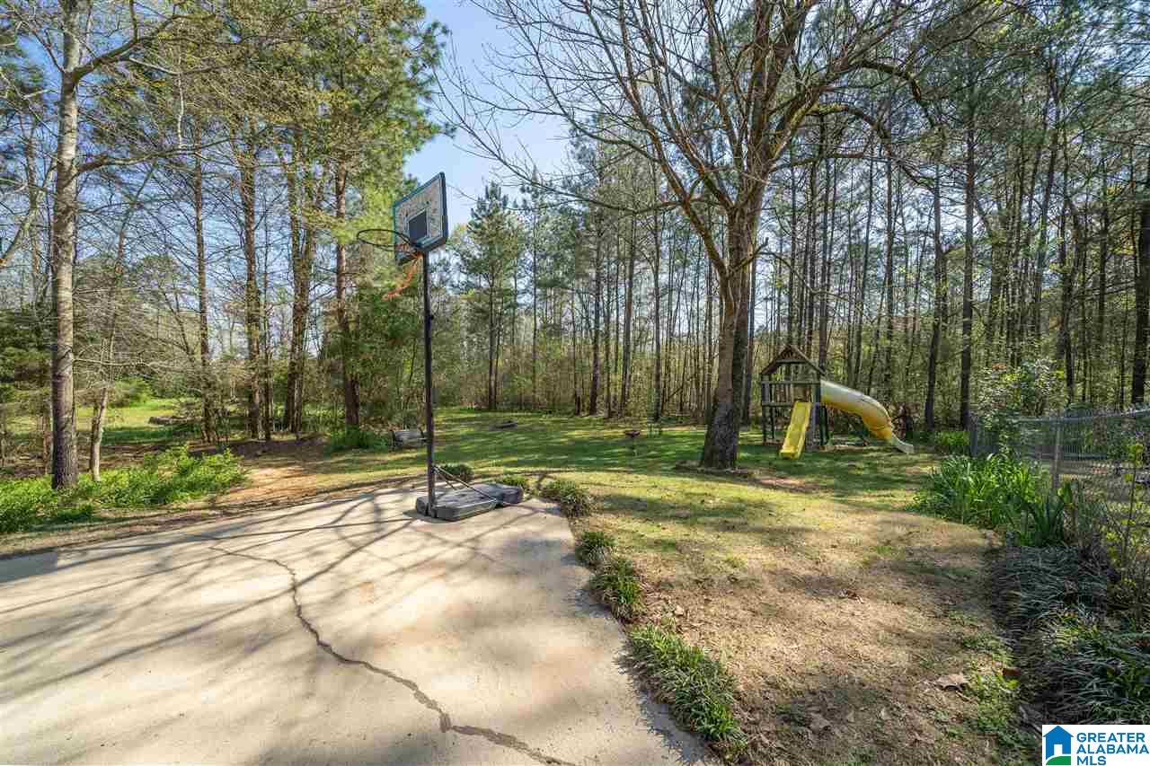 54 Meadows Drive Springville, AL 35146 - Photo 35 of 38