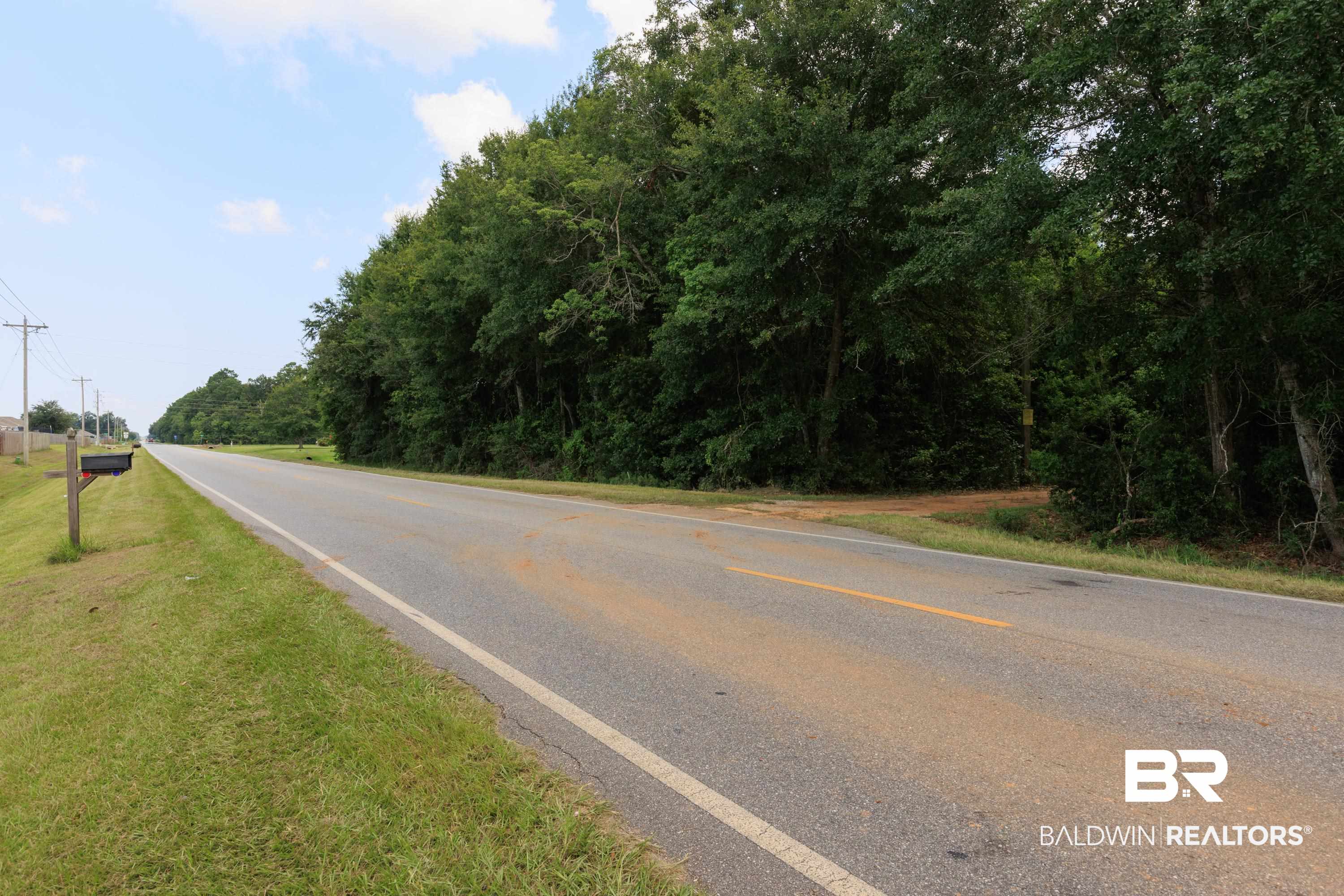 17385 County Road 16 Foley, AL 36535 - Photo 17 of 53 View of road