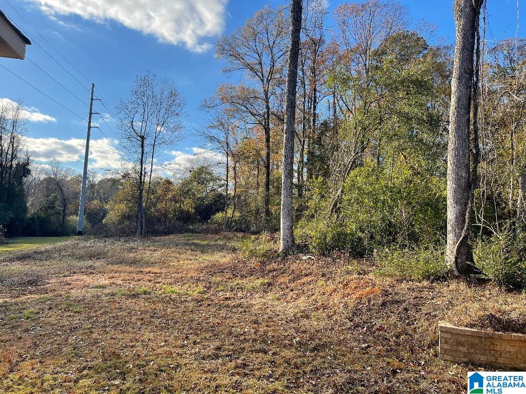 1935 Hargrove E Road Tuscaloosa, AL 35405 - Photo 2 of 24