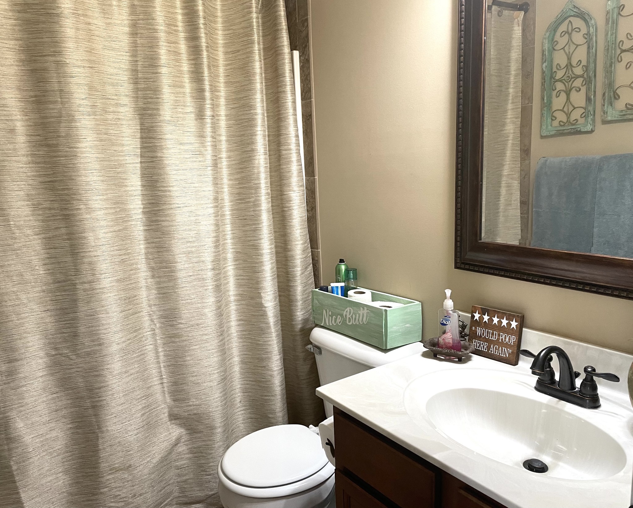 1458 Raven Road Clarksville, TN 37042 - Photo 27 of 33 a bathroom with a sink a toilet and shower curtain