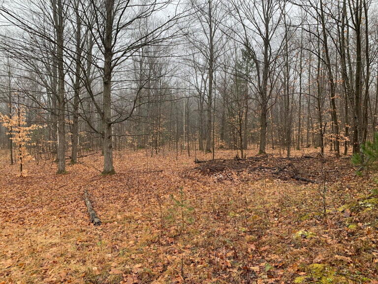 1020 Snake Branch Road Mio, MI 48647 - Photo 31 of 35 Gallery Image 31