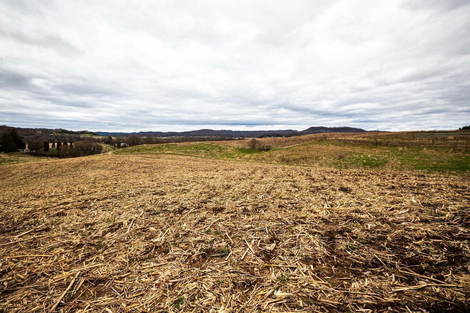 0 Glomstad Road Holmen, WI 54636 - Photo 11 of 13 20230614175409488434000000-o
