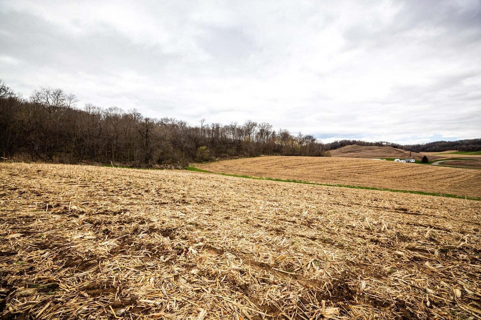 0 Glomstad Road Holmen, WI 54636 - Photo 12 of 13 20230614175410665227000000-o