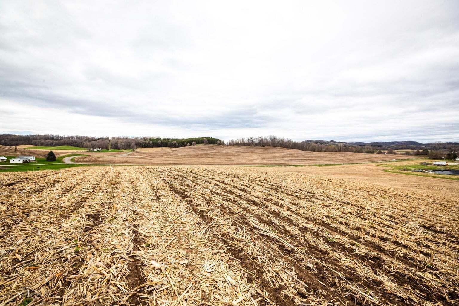 0 Glomstad Road Holmen, WI 54636 - Photo 7 of 13 20230614175403389703000000-o