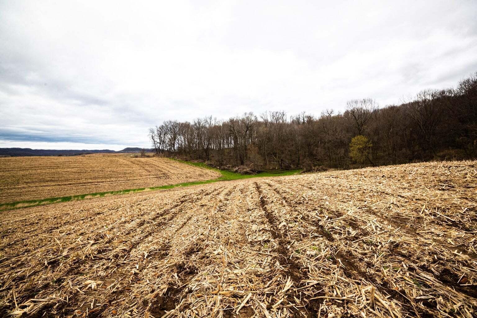 0 Glomstad Road Holmen, WI 54636 - Photo 8 of 13 20230614175404728077000000-o