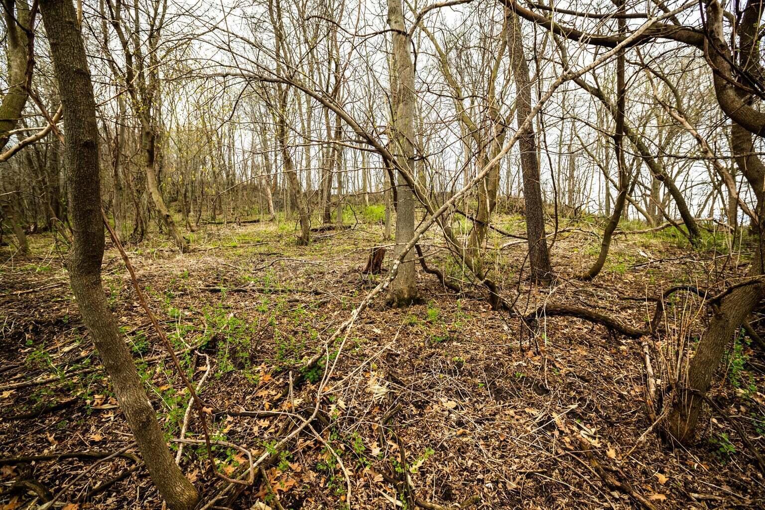 0 Glomstad Road Holmen, WI 54636 - Photo 9 of 13 20230614175406228110000000-o