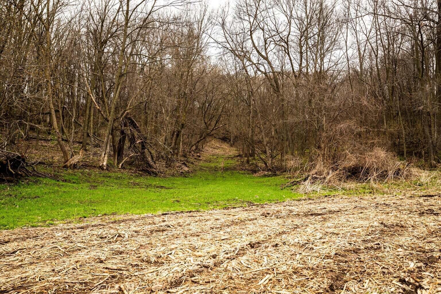 0 Glomstad Road Holmen, WI 54636 - Photo 10 of 13 20230614175407857527000000-o