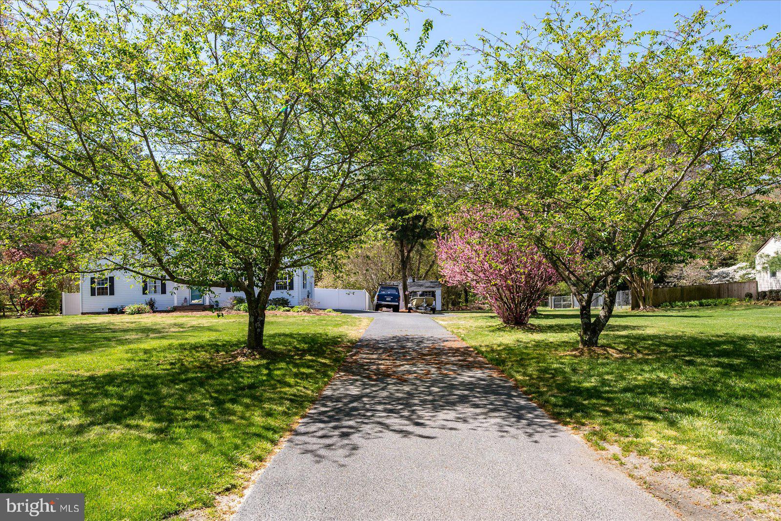 30845 Ward Road Salisbury, MD 21804 - Photo 6 of 65 Tree lined driveway with plenty of parking.