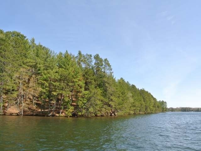Lot 2 Big Ripley Island Minocqua, WI 54548 - Photo 4 of 19 Gallery Image 4