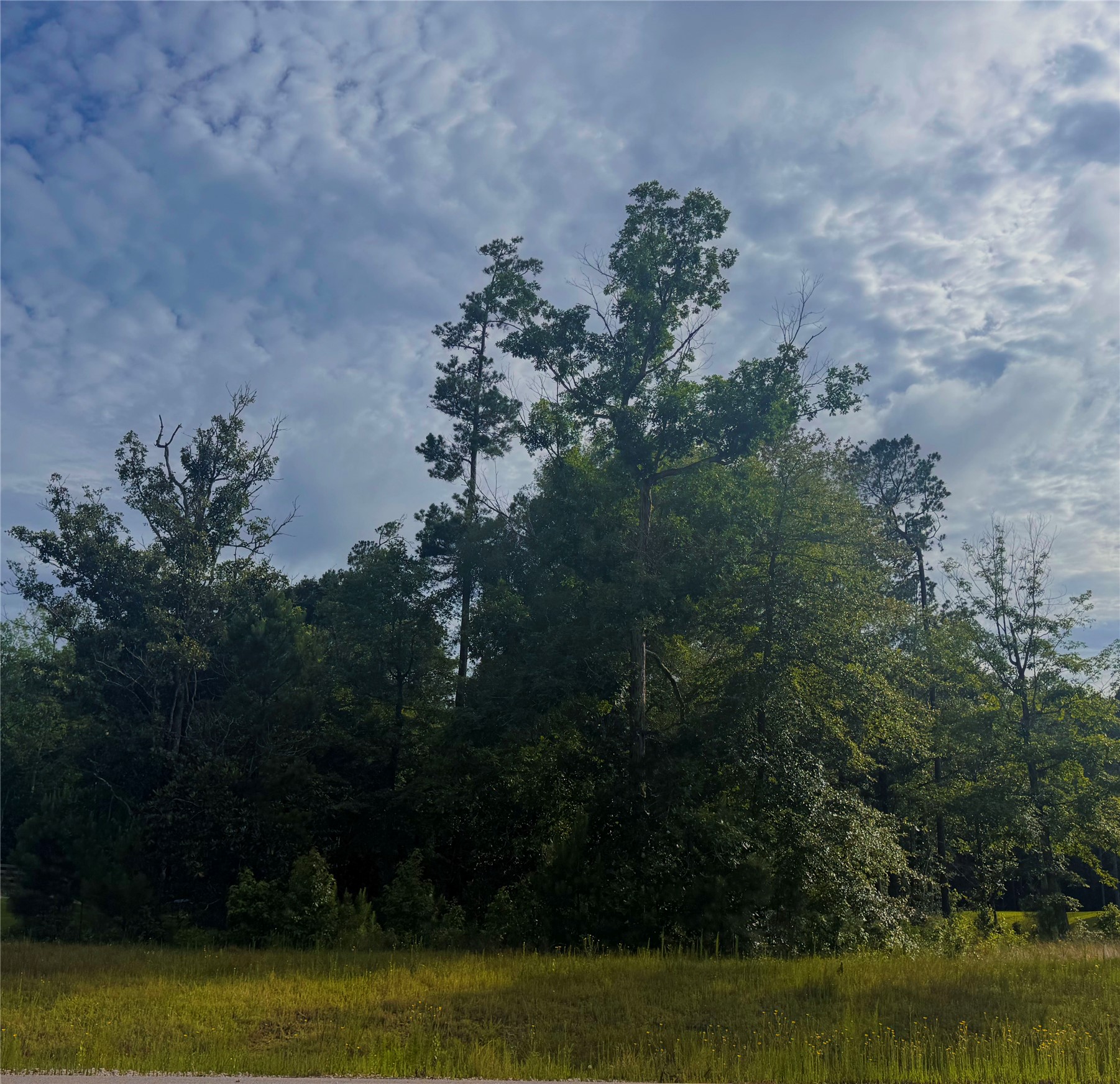 147 Eagle Run Road Willis, TX 77378 - Photo 3 of 16