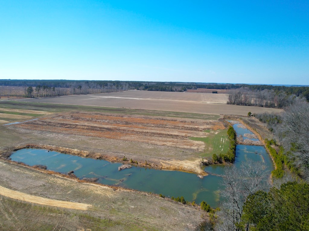 76.19-ac Saxis Road Temperanceville, VA 23442 - Photo 10 of 37