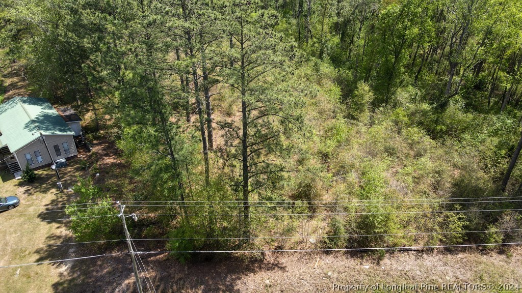 0 Mockingbird Hill Road Raeford, NC 28376 - Photo 14 of 22 Gallery Image 14