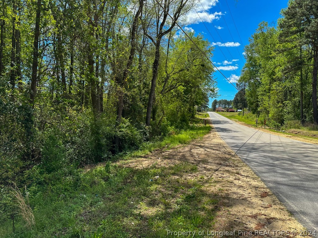 0 Mockingbird Hill Road Raeford, NC 28376 - Photo 16 of 22 Gallery Image 16