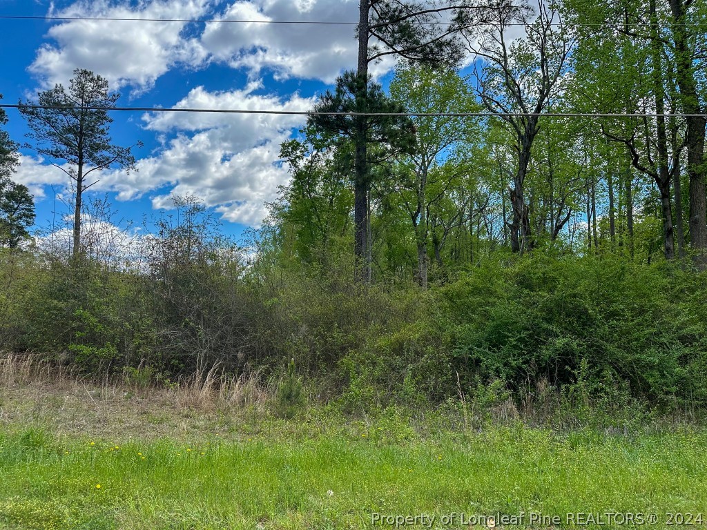 0 Mockingbird Hill Road Raeford, NC 28376 - Photo 17 of 22 Gallery Image 17
