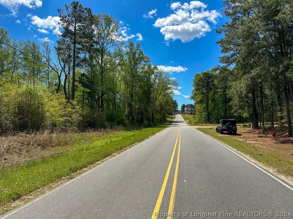 0 Mockingbird Hill Road Raeford, NC 28376 - Photo 19 of 22 Gallery Image 19