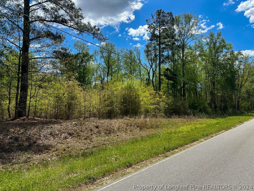 0 Mockingbird Hill Road Raeford, NC 28376 - Photo 20 of 22 Gallery Image 20