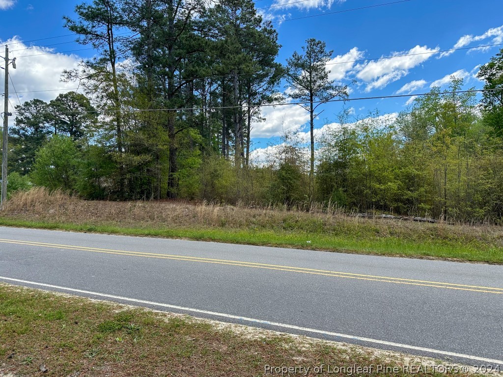 0 Mockingbird Hill Road Raeford, NC 28376 - Photo 2 of 22 Gallery Image 2