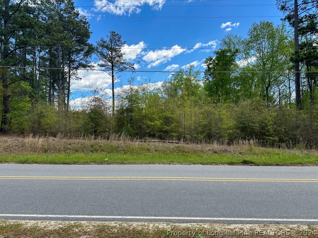 0 Mockingbird Hill Road Raeford, NC 28376 - Photo 3 of 22 Gallery Image 3