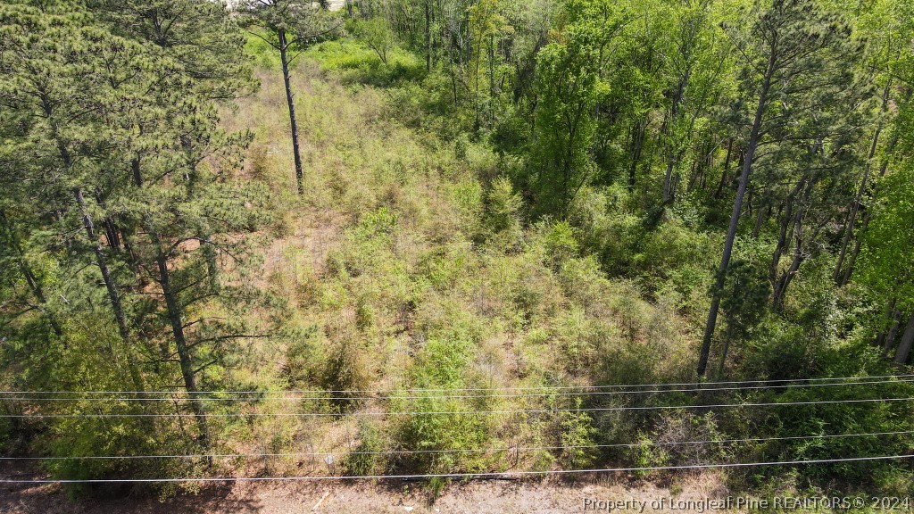 0 Mockingbird Hill Road Raeford, NC 28376 - Photo 5 of 22 Gallery Image 5