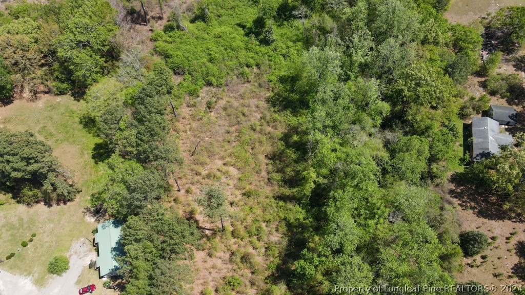 0 Mockingbird Hill Road Raeford, NC 28376 - Photo 6 of 22 Gallery Image 6