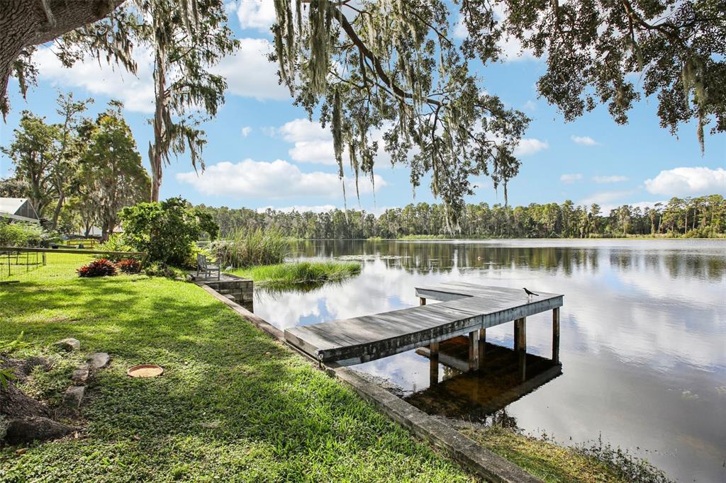 19254 Blount Road Lutz, FL 33558 - Photo 30 of 34 a view of a lake with houses in back