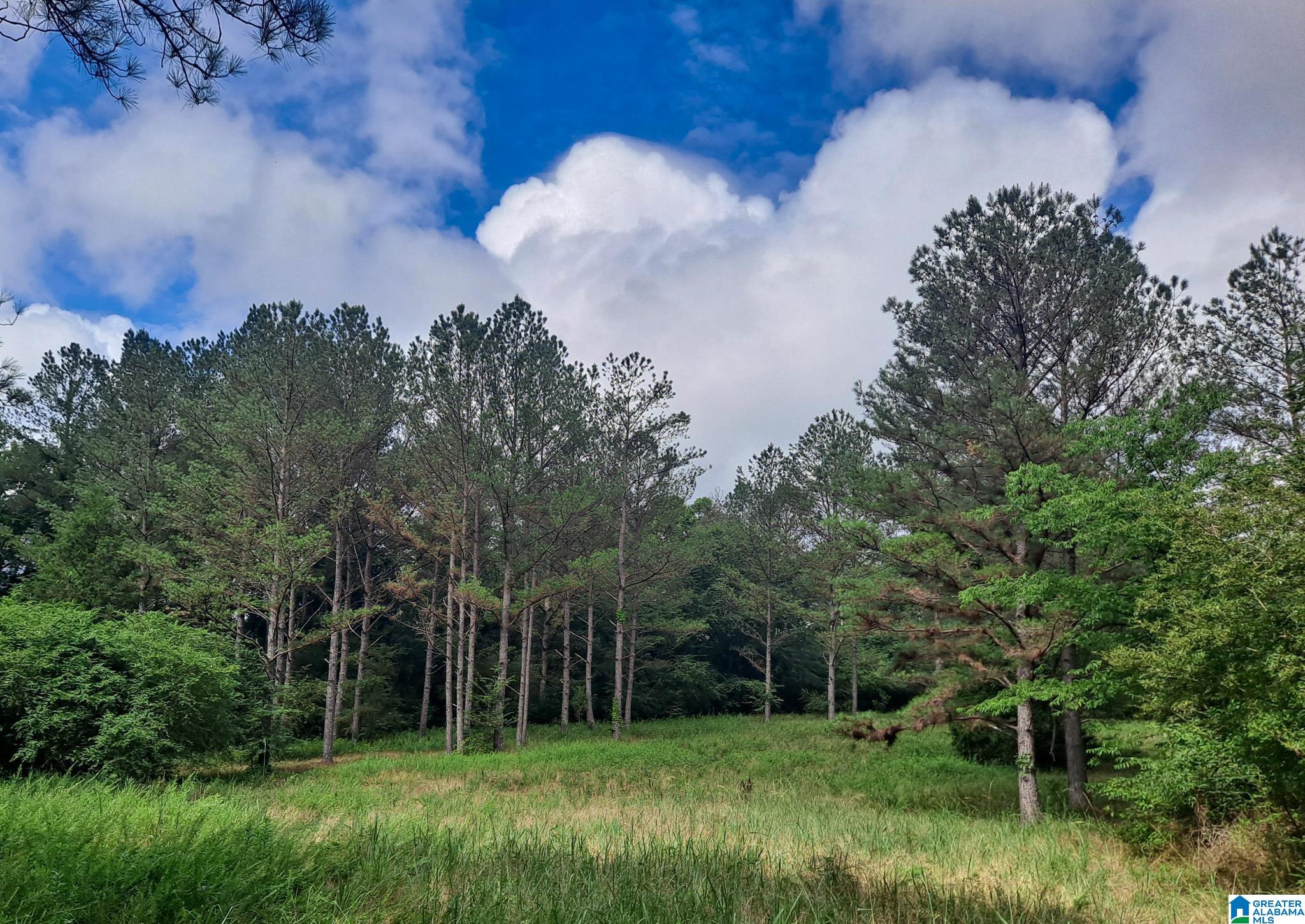 808 Fulton Hill Road, Unit 808 Berry, AL 35546 - Photo 7 of 26