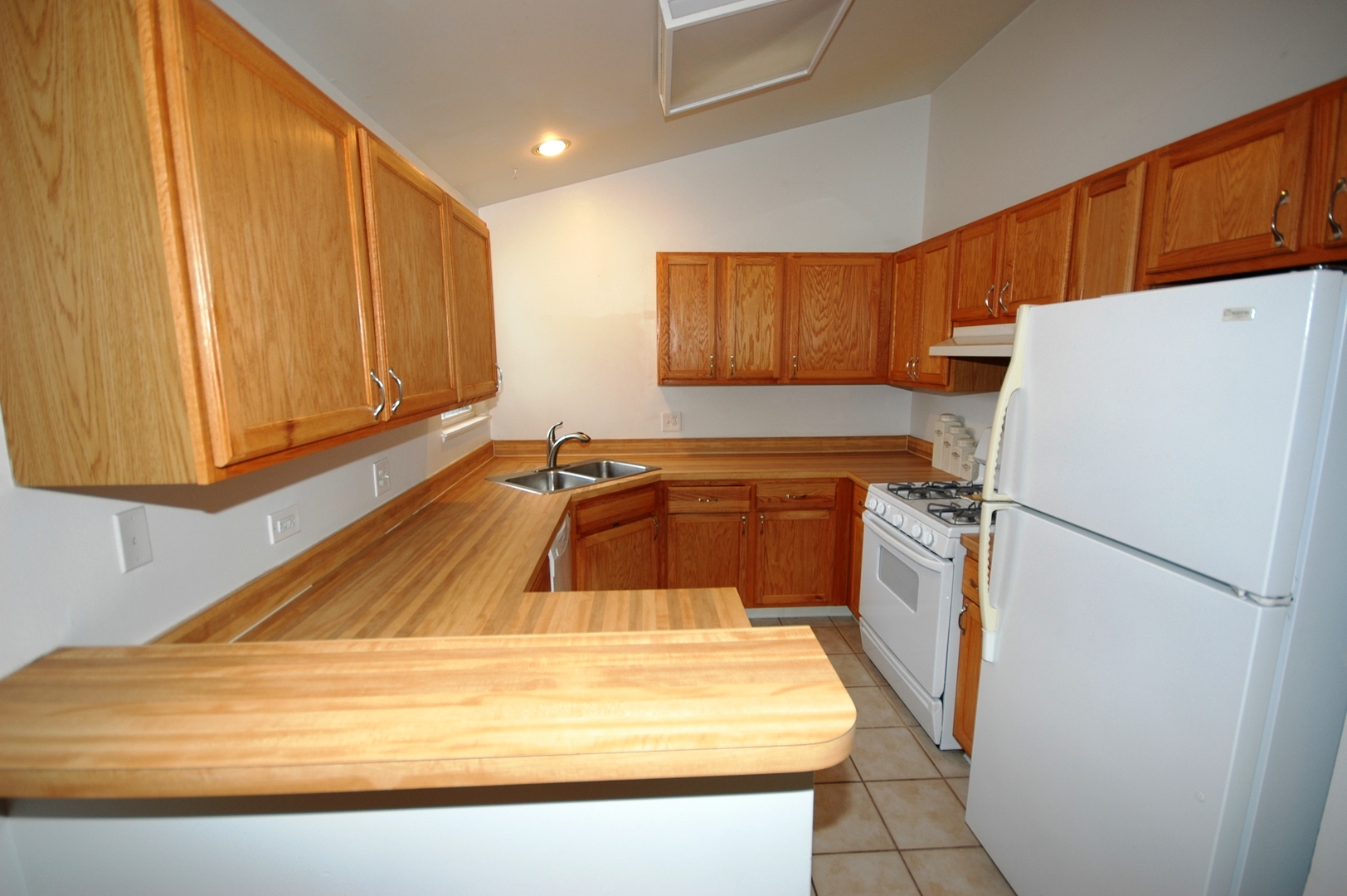 1080 Stillwater Road, Unit 1080 Elgin, IL 60120 - Photo 5 of 11 a kitchen with a refrigerator and a sink