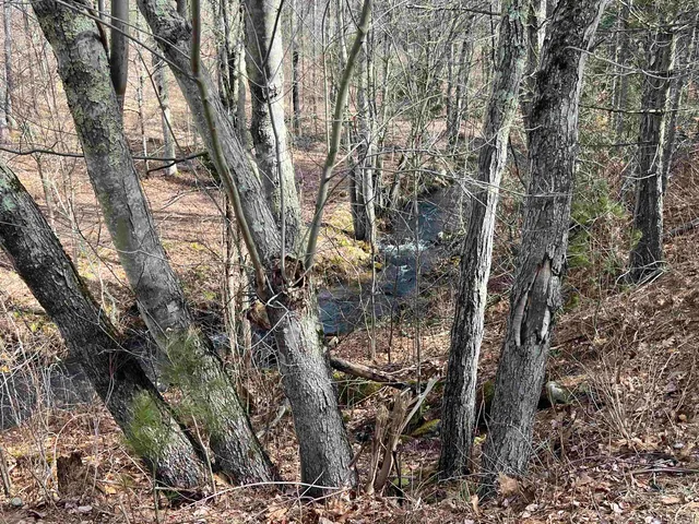 $150,000 | 7 Lake Shore Drive, Winchester, NH 03470