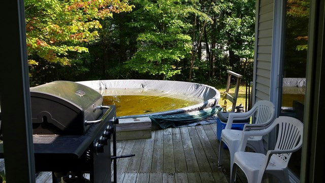 98 Telegraph Road Peru, NY 12972 - Photo 14 of 18
