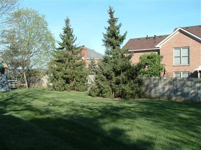1040 Turnbridge Road Lexington, KY 40515 - Photo 4 of 21 Photo 4