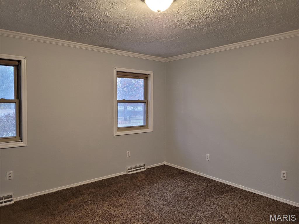 2 Lake Drive Moro, IL 62067 - Photo 8 of 18