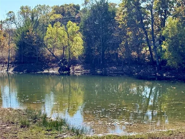 a view of a lake view with a large trees