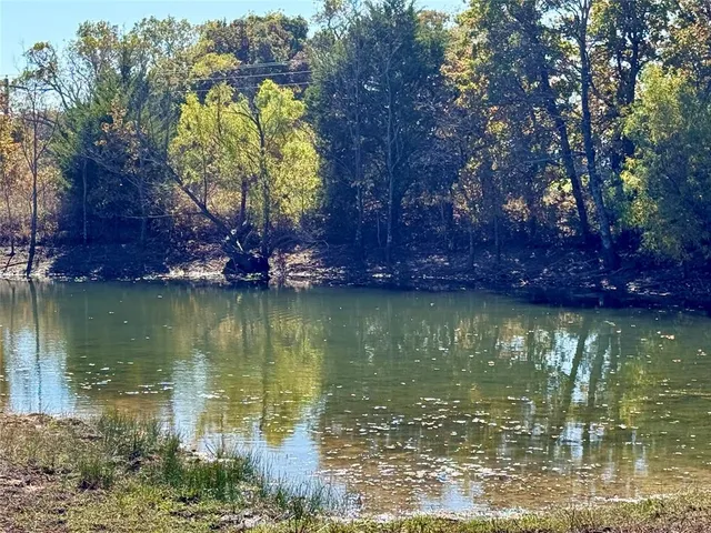 a view of a lake view with a large trees