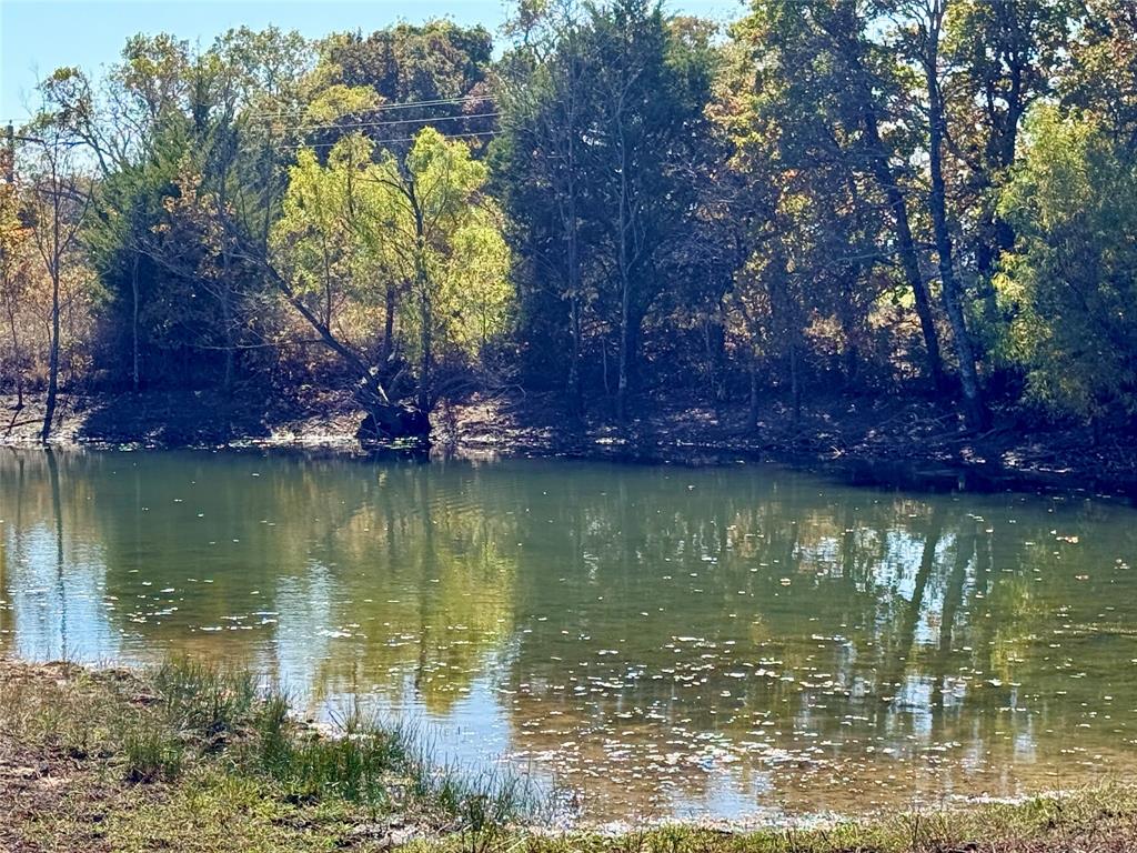 2753 Big Tree Road Montague, TX 76251 - Photo 13 of 40