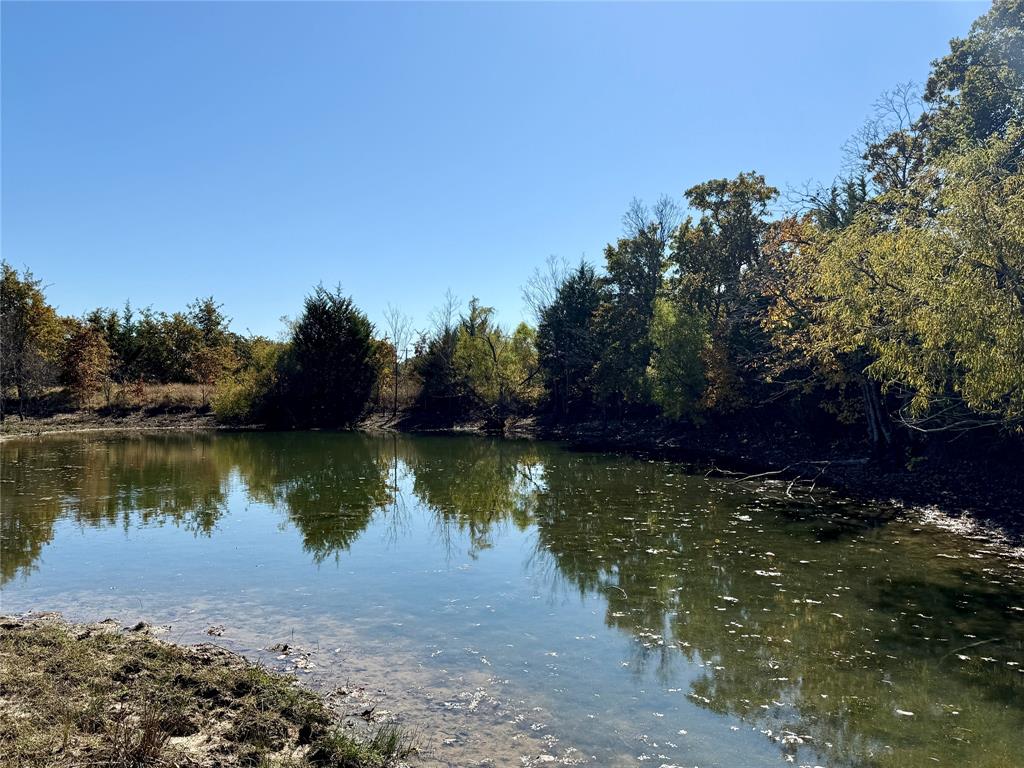 2753 Big Tree Road Montague, TX 76251 - Photo 14 of 40 a view of a lake view with a large trees