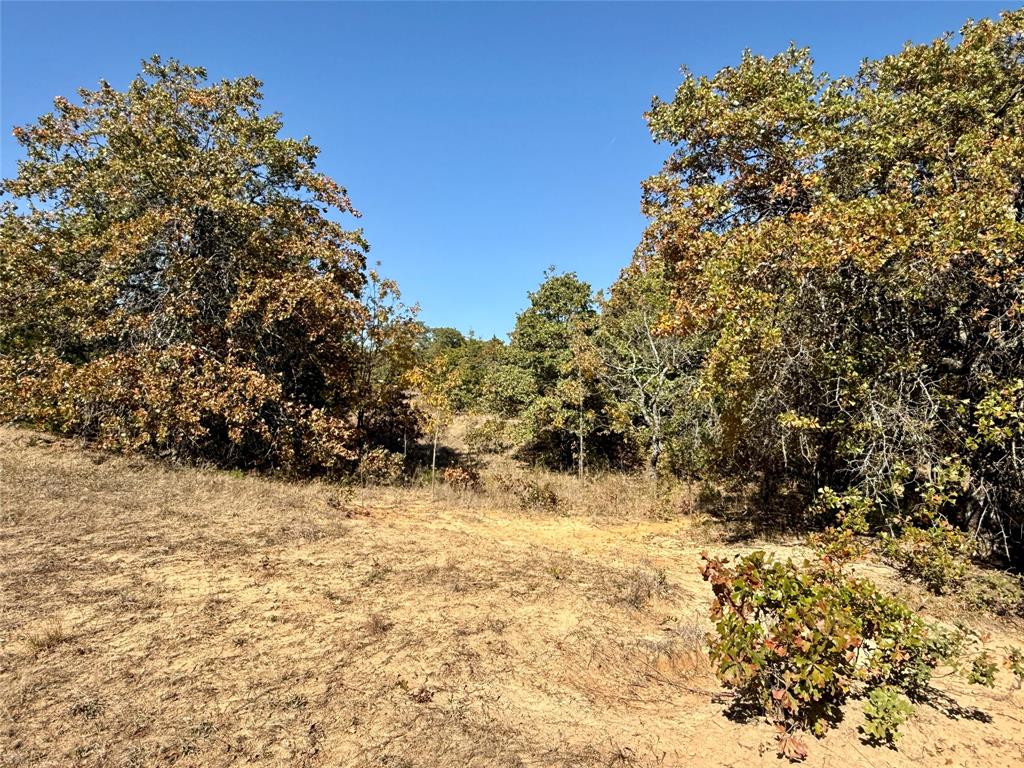 2753 Big Tree Road Montague, TX 76251 - Photo 16 of 40