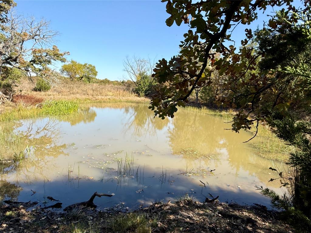 2753 Big Tree Road Montague, TX 76251 - Photo 17 of 40 a view of lake