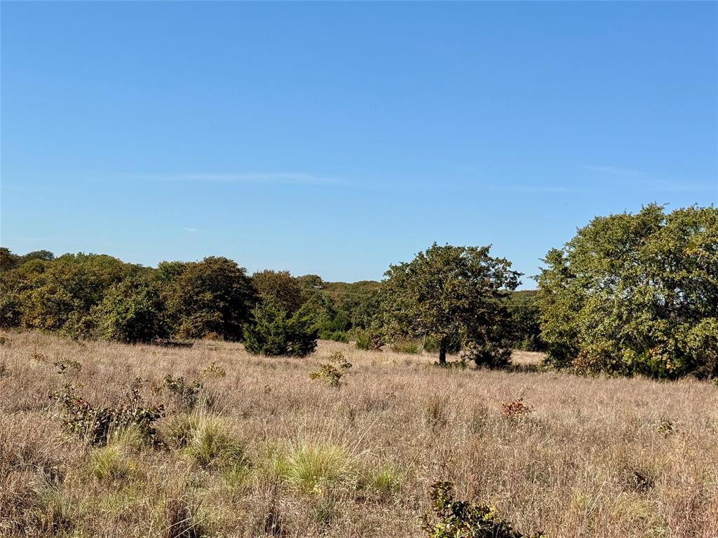 2753 Big Tree Road Montague, TX 76251 - Photo 20 of 40 a view of a dry yard with trees in the background
